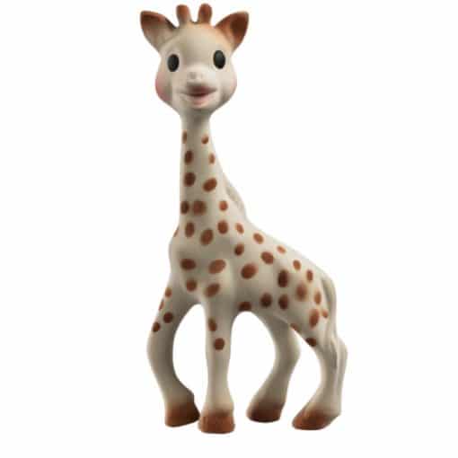 My 'Sophie the Giraffe' hamper-754